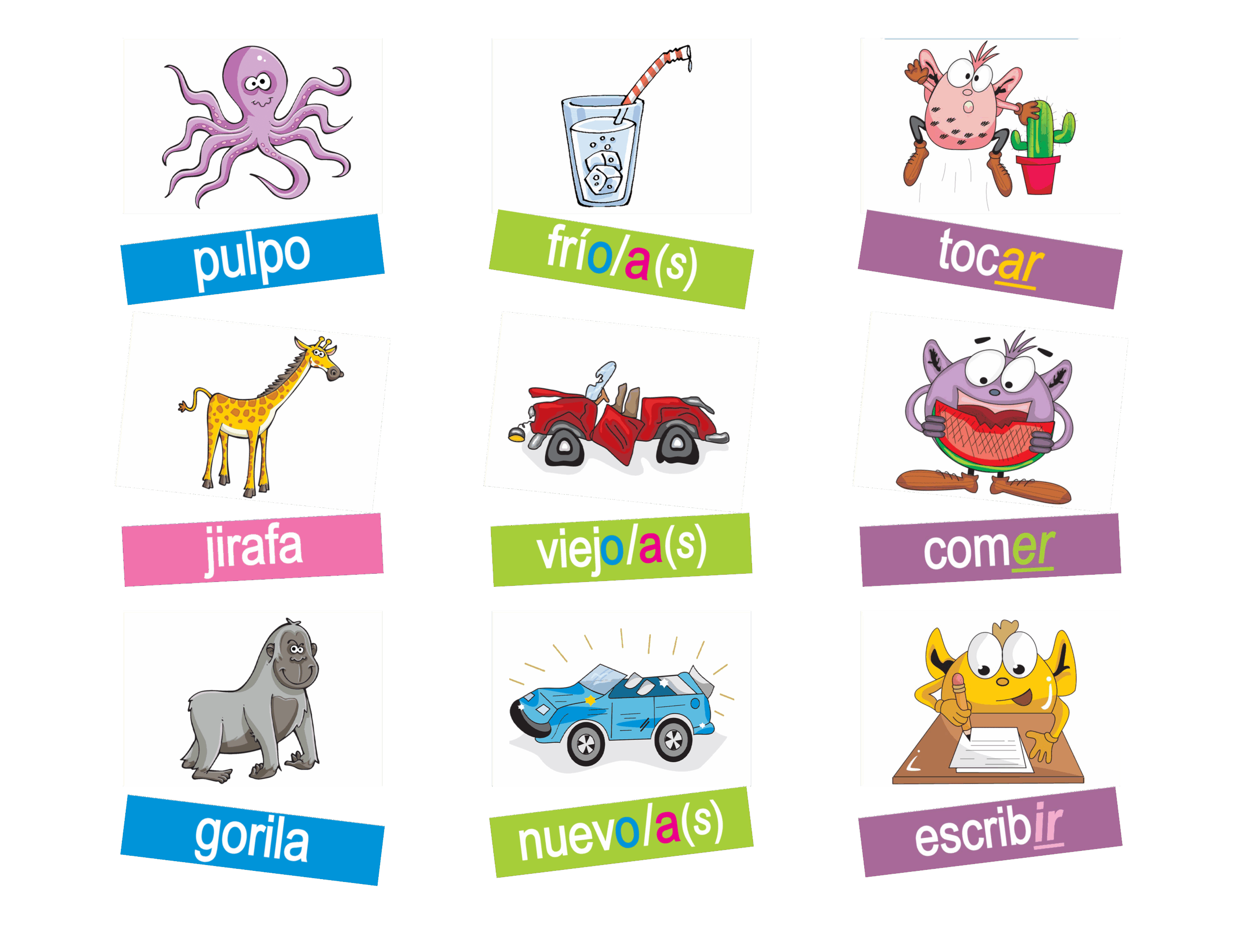 Lg. Picture Word Cards