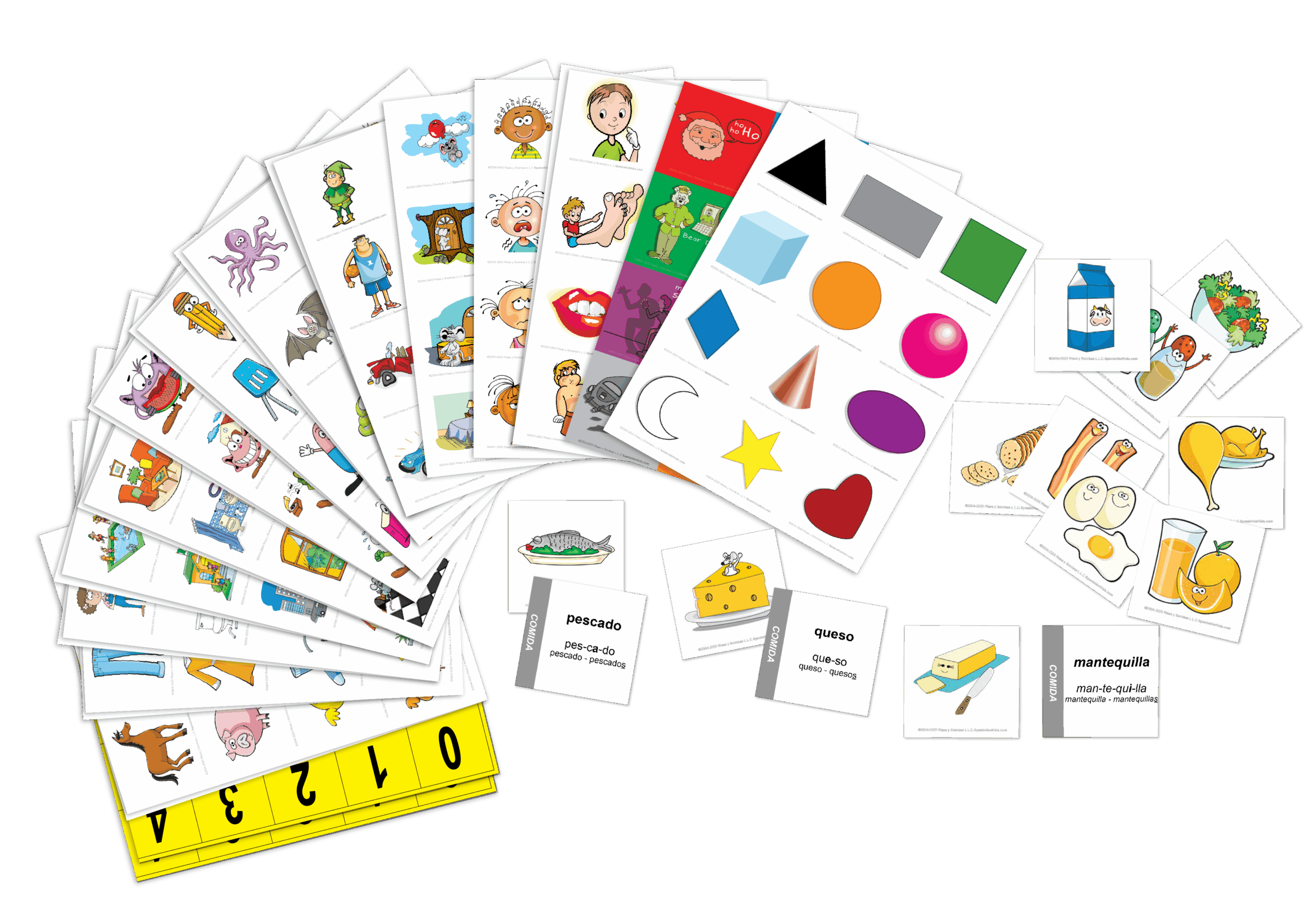 FLASHCARDS_DISPLAY_v1 PNG-01