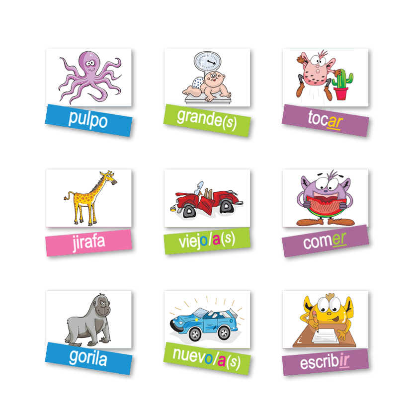 Lg Picture Word Cards